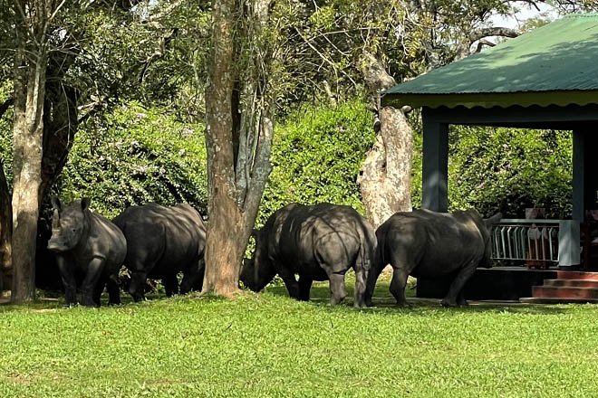 9-Day Big Five & Primate Safari